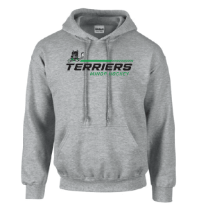 G185 Gildan Heavy Blend 8 oz., 50/50 Hooded Sweatshirt - Sport Grey