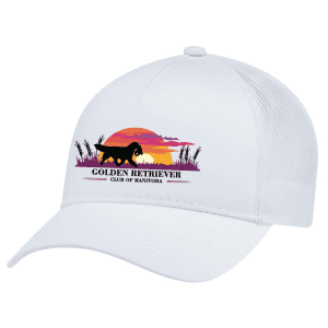 5970L AJM Polyester/Polycotton 5 Panel Pony Tail Cap - White