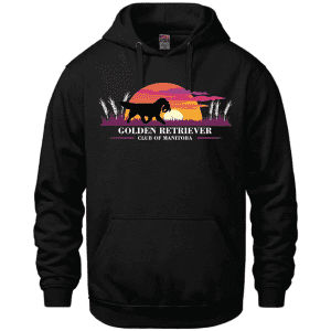 L00550 CSW 24/7 Vault Pullover Hooded Sweatshirt - Black